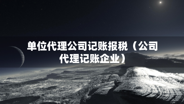 單位代理公司記賬報(bào)稅（公司代理記賬企業(yè)）