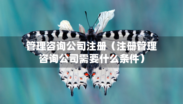 管理咨詢公司注冊（注冊管理咨詢公司需要什么條件）