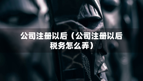 公司注冊以后（公司注冊以后稅務怎么弄）