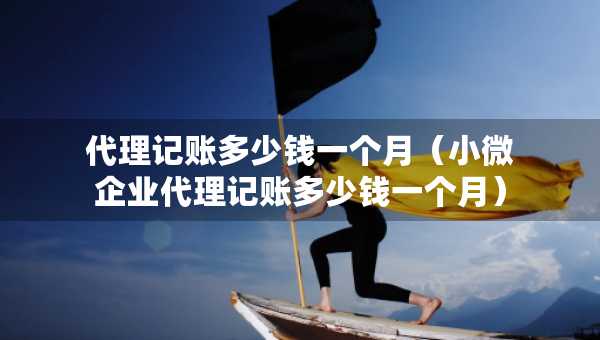 代理記賬多少錢一個月（小微企業(yè)代理記賬多少錢一個月）