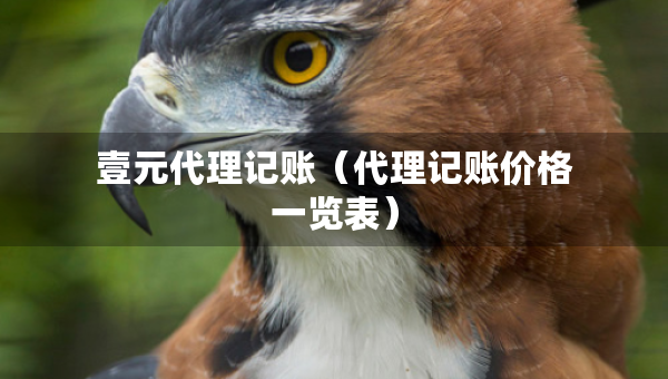 壹元代理記賬（代理記賬價(jià)格一覽表）