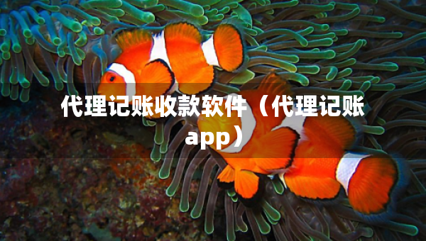 代理記賬收款軟件（代理記賬app）
