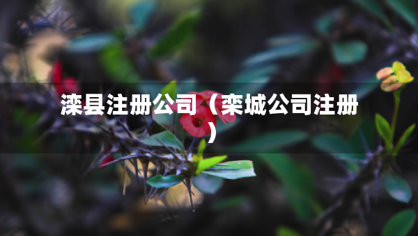 灤縣注冊公司（欒城公司注冊）