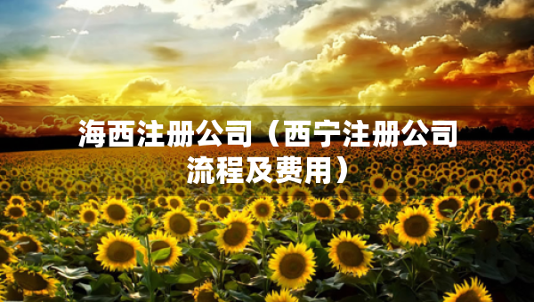 海西注冊公司（西寧注冊公司流程及費用）