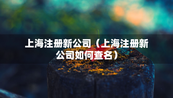 上海注冊新公司（上海注冊新公司如何查名）