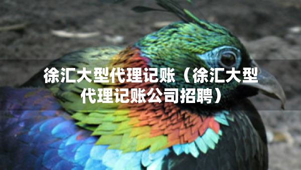 徐匯大型代理記賬（徐匯大型代理記賬公司招聘）