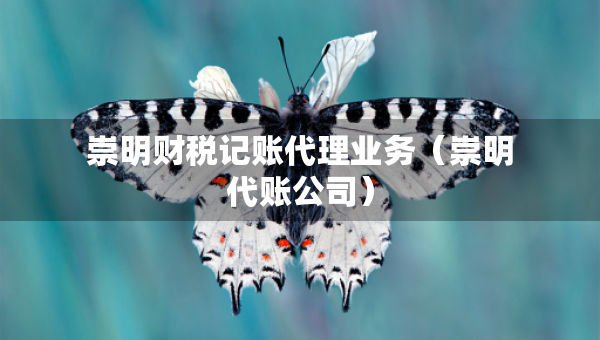 崇明財稅記賬代理業(yè)務(wù)（崇明代賬公司）