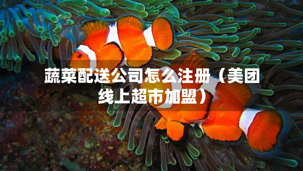 蔬菜配送公司怎么注冊(cè)（美團(tuán)線上超市加盟）