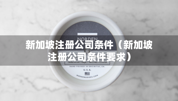 新加坡注冊公司條件（新加坡注冊公司條件要求）