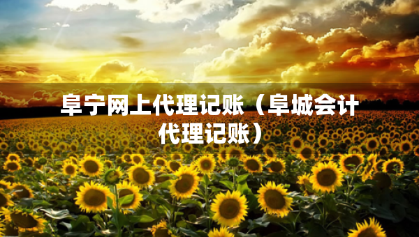 阜寧網(wǎng)上代理記賬（阜城會計代理記賬）