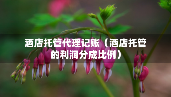酒店托管代理記賬（酒店托管的利潤(rùn)分成比例）