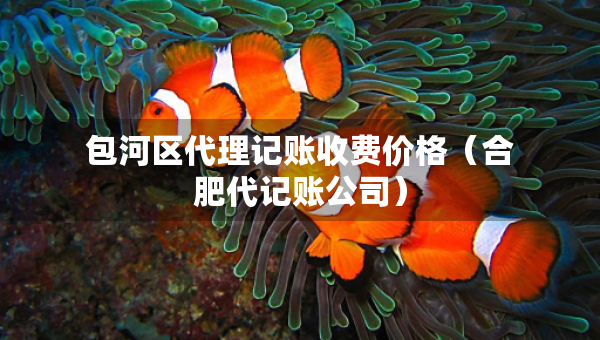 包河區(qū)代理記賬收費(fèi)價(jià)格（合肥代記賬公司）