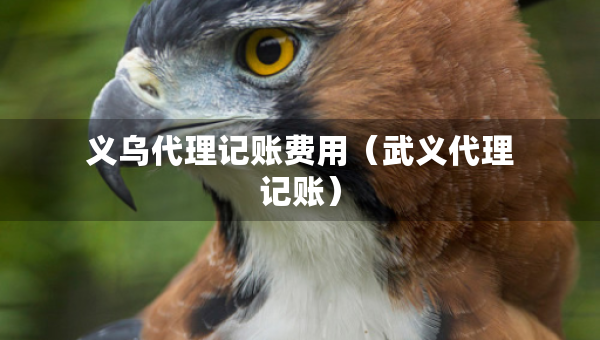 義烏代理記賬費(fèi)用（武義代理記賬）
