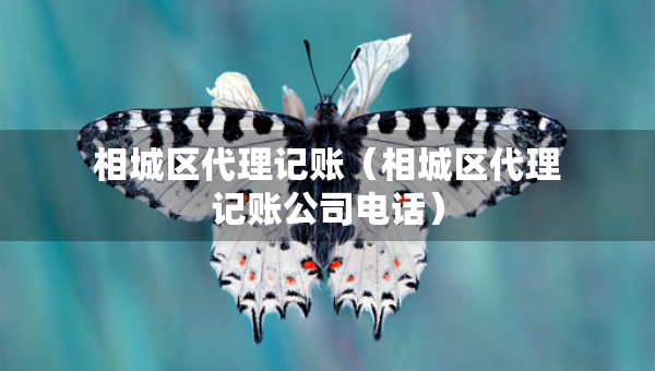 相城區(qū)代理記賬（相城區(qū)代理記賬公司電話）