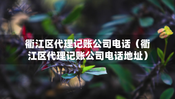 衢江區(qū)代理記賬公司電話（衢江區(qū)代理記賬公司電話地址）