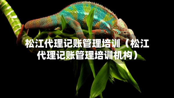 松江代理記賬管理培訓（松江代理記賬管理培訓機構(gòu)）