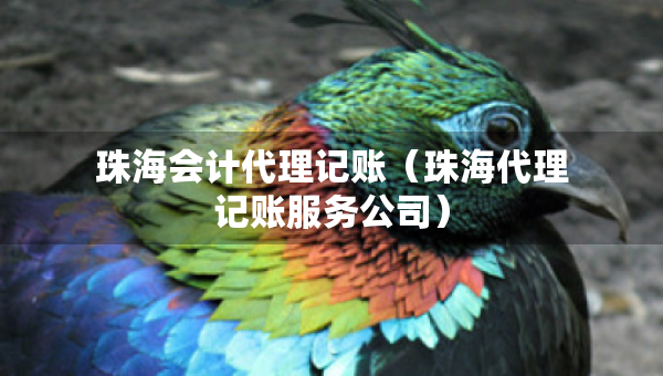 珠海會(huì)計(jì)代理記賬（珠海代理記賬服務(wù)公司）