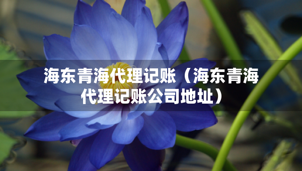 海東青海代理記賬（海東青海代理記賬公司地址）