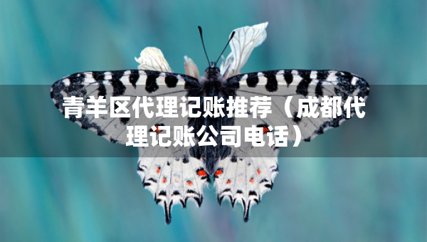 青羊區(qū)代理記賬推薦（成都代理記賬公司電話）