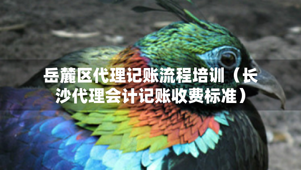 岳麓區(qū)代理記賬流程培訓(xùn)（長(zhǎng)沙代理會(huì)計(jì)記賬收費(fèi)標(biāo)準(zhǔn)）