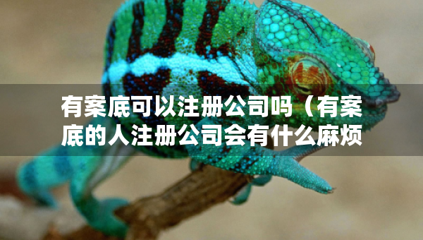 有案底可以注冊公司嗎（有案底的人注冊公司會有什么麻煩）