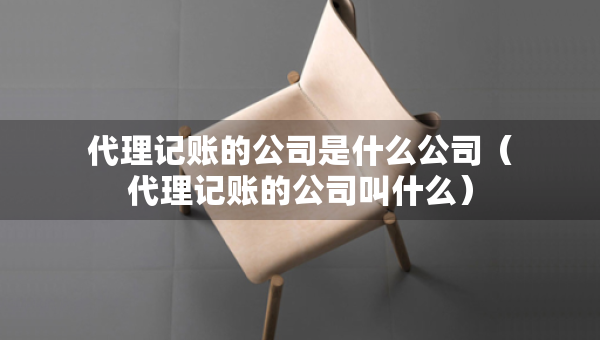 代理記賬的公司是什么公司（代理記賬的公司叫什么）