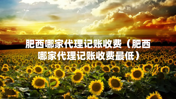 肥西哪家代理記賬收費（肥西哪家代理記賬收費最低）