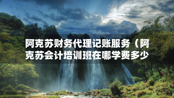 阿克蘇財務代理記賬服務（阿克蘇會計培訓班在哪學費多少）