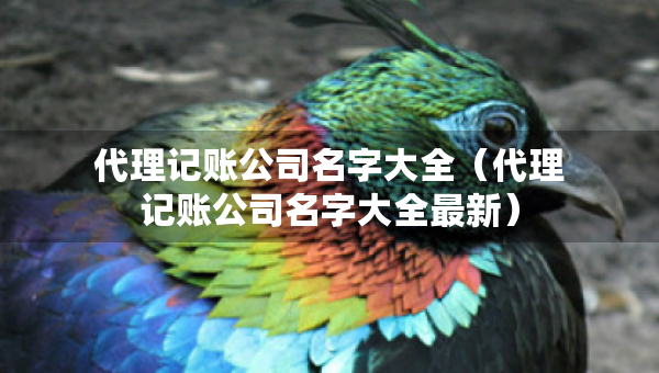 代理記賬公司名字大全（代理記賬公司名字大全最新）