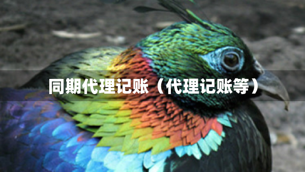 同期代理記賬（代理記賬等）