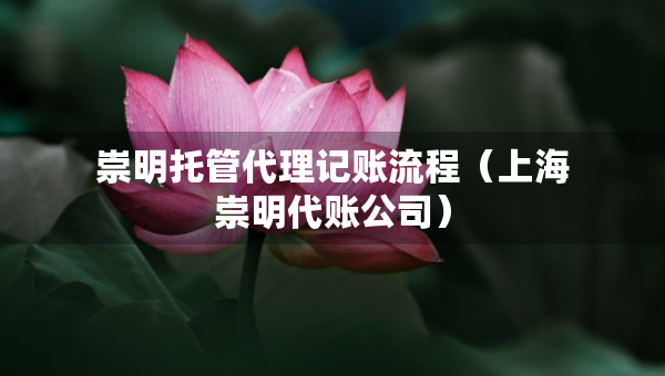 崇明托管代理記賬流程（上海崇明代賬公司）
