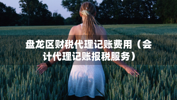盤龍區(qū)財稅代理記賬費用（會計代理記賬報稅服務(wù)）