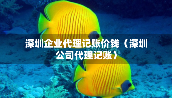 深圳企業(yè)代理記賬價(jià)錢（深圳公司代理記賬）