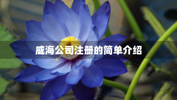 威海公司注冊(cè)的簡(jiǎn)單介紹