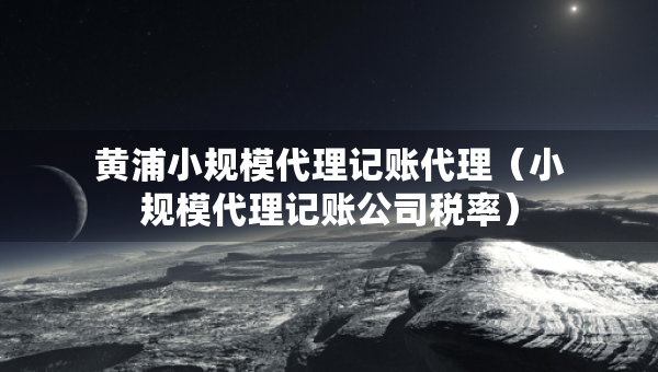 黃浦小規(guī)模代理記賬代理（小規(guī)模代理記賬公司稅率）