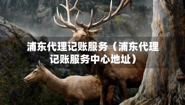 浦東代理記賬服務(wù)（浦東代理記賬服務(wù)中心地址）