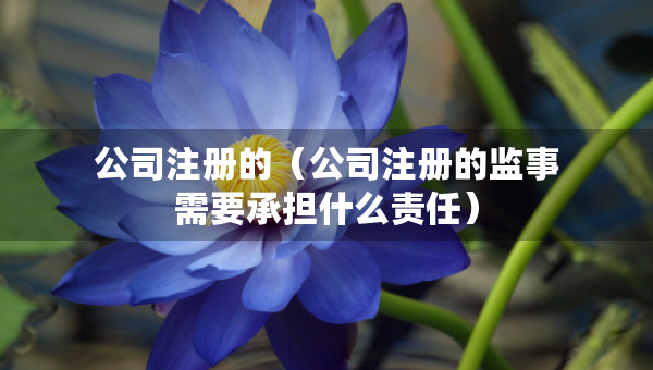 公司注冊(cè)的（公司注冊(cè)的監(jiān)事需要承擔(dān)什么責(zé)任）