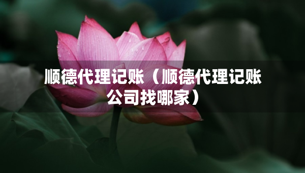 順德代理記賬（順德代理記賬公司找哪家）