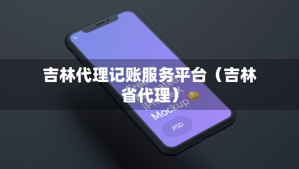 吉林代理記賬服務(wù)平臺（吉林省代理）