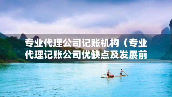 專業(yè)代理公司記賬機構(gòu)（專業(yè)代理記賬公司優(yōu)缺點及發(fā)展前景論文）