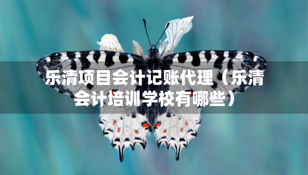 樂清項目會計記賬代理（樂清會計培訓學校有哪些）