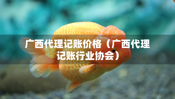 廣西代理記賬價格（廣西代理記賬行業(yè)協(xié)會）