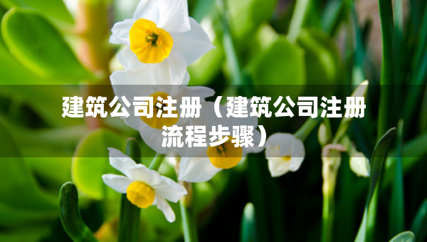 建筑公司注冊(cè)（建筑公司注冊(cè)流程步驟）