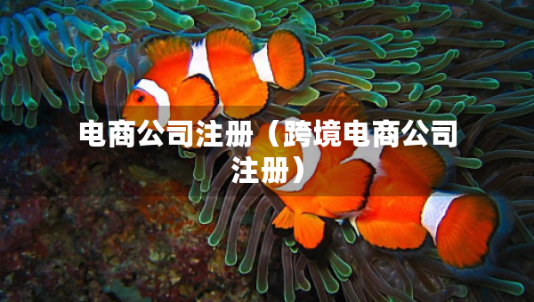 電商公司注冊(cè)（跨境電商公司注冊(cè)）