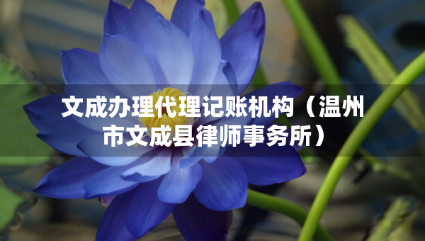 文成辦理代理記賬機構(gòu)（溫州市文成縣律師事務(wù)所）