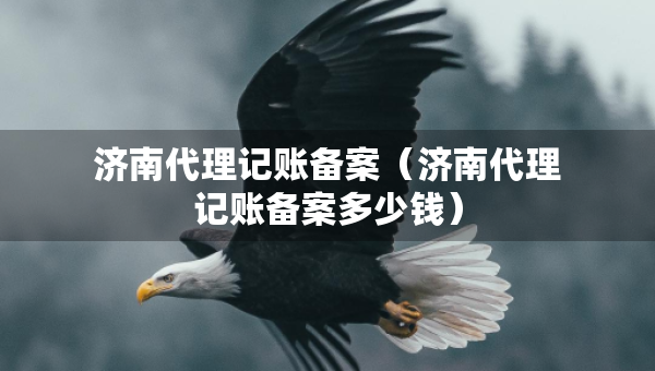 濟南代理記賬備案（濟南代理記賬備案多少錢）