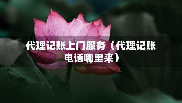 代理記賬上門服務（代理記賬電話哪里來）