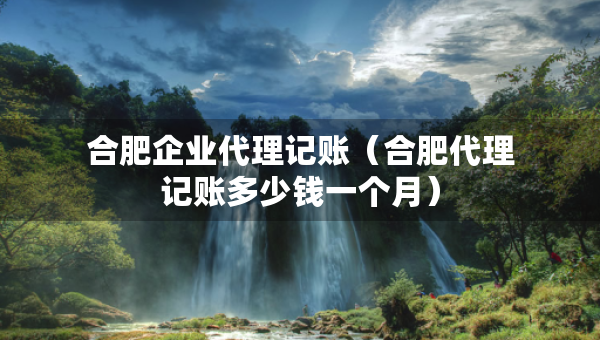 合肥企業(yè)代理記賬（合肥代理記賬多少錢一個(gè)月）