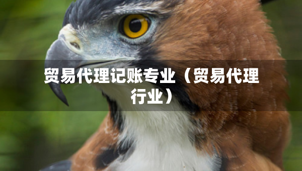 貿(mào)易代理記賬專業(yè)（貿(mào)易代理行業(yè)）