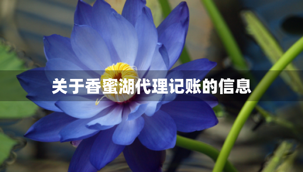 關(guān)于香蜜湖代理記賬的信息